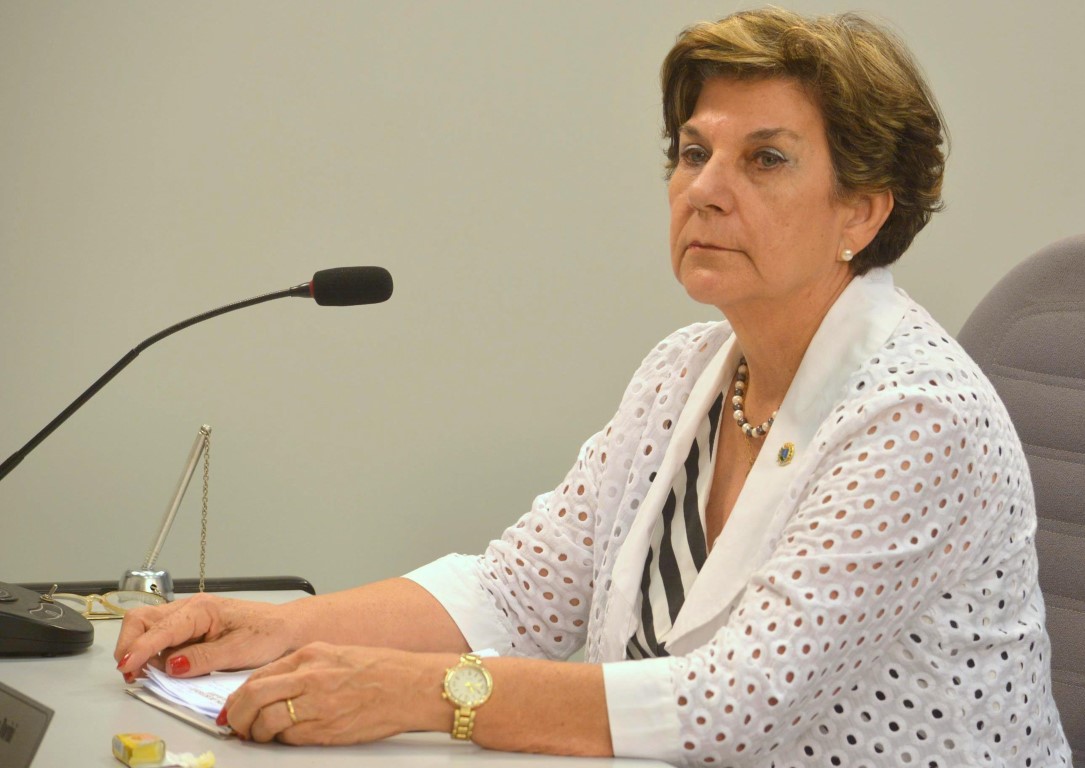 Jamila solicita reparos em via pública bem no centro da cidade